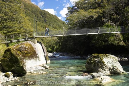 alive;beautiful;beauty;beech;bridge;bridges;brook;brooks;bubbling;bush;creek;creeks;dripping;fern;ferns;fiordland;fiordland-national-park;flora;foot-bridge;foot-bridges;forest;forestry;forests;green;hike;hiker;hikers;hikes;hiking;hollyford-river;hollyford-valley;lake-marian;lake-marion;lower-hollyford-valley;lush;majestic;middle-earth;moss;mosses;natural;nature;new-zealand;pedestrian-bridge;pedestrian-bridges;rain-forest;rain-forests;rain_forest;rain_forests;rainforest;rainsforests;river;rivers;rope-bridge;rope-bridges;scene;scenic;south-island;south-west;southland;stream;streams;suspension-bridge;suspension-bridges;swing-bridge;te-wahipounamu-south_west-new;track;tramp;tramper;trampers;tramping;tramps;trekker;trekkers;verdant;walk;walker;walkers;walking;walks;water;wire-bridge;wire-bridges;world-heritage-area;world-heritage-site