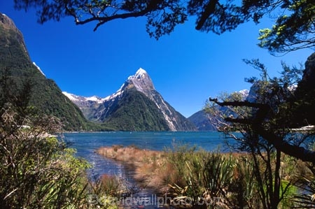 alpine;altitude;beautiful;beauty;beech-tree;beech-trees;bluff;bluffs;calm;calmness;cliff;cliffs;cloud;clouds;coast;coastal;coastline;coastlines;coasts;fiord;fiordland;Fiordland-National-Park;fiords;fjord;fjords;glacial;high-altitude;majestic;middle-earth;Milford-Sound;Mitre-Peak;mount;mountain;mountain-peak;mountainous;mountains;mountainside;mt;mt.;national-park;national-parks;natural;nature;New-Zealand;ocean;peak;peaks;reflection;reflections;scene;scenic;sea;shore;shoreline;shorelines;shores;sky;snow;snow-capped;snow_capped;snowcapped;snowy;sound;sounds;South-Island;south-west;southland;steep;still;stillness;summit;summits;te-wahipounamu;te-wahipounamu-south_west-new;te-wahipounamu-south_west-new;water;world-heirtage-site;world-heritage-area