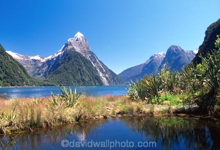 alpine;altitude;beautiful;beauty;beech-tree;beech-trees;bluff;bluffs;calm;calmness;cliff;cliffs;cloud;clouds;coast;coastal;coastline;coastlines;coasts;fiord;fiordland;Fiordland-National-Park;fiords;fjord;fjords;glacial;high-altitude;majestic;middle-earth;Milford-Sound;Mitre-Peak;mount;mountain;mountain-peak;mountainous;mountains;mountainside;mt;mt.;national-park;national-parks;natural;nature;New-Zealand;ocean;peak;peaks;reflection;reflections;scene;scenic;sea;shore;shoreline;shorelines;shores;sky;snow;snow-capped;snow_capped;snowcapped;snowy;sound;sounds;South-Island;south-west;southland;steep;still;stillness;summit;summits;te-wahipounamu;te-wahipounamu-south_west-new;te-wahipounamu-south_west-new;water;world-heirtage-site;world-heritage-area