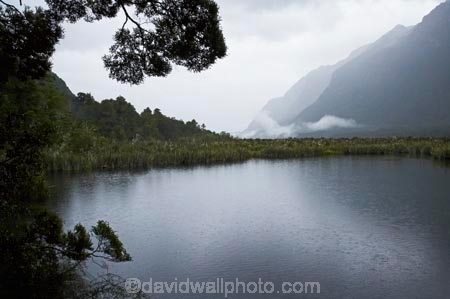 bad-weather;fiordland;Fiordland-N.P;fiordland-national-park;Fiordland-NP;milford-road;Mirror-Lakes;n.z.;national-park;National-parks;new-zealand;nz;rain;raining;rainy;S.I.;SI;South-Island;South-West-New-Zealand-World-Her;Southland;te-wahipounamu;te-wahipounamu-south_west-new;world-heirtage-site;world-heritage-area