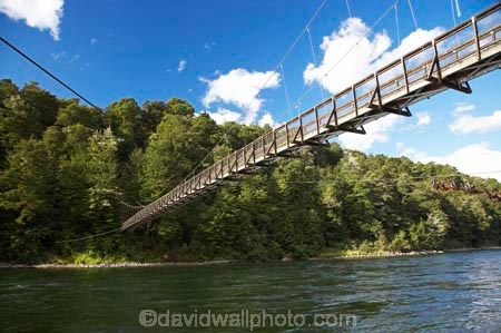beautiful;beauty;Beech-Forest;bridge;bridges;bush;endemic;fiordland;Fiordland-N.P;fiordland-national-park;Fiordland-NP;foot-bridge;foot-bridges;footbridge;footbridges;forest;forests;great-walks;green;high;hiking;hiking-track;hiking-tracks;Kepler-Track;n.z.;national-park;National-parks;native;native-bush;natives;natural;nature;new-zealand;Nothofagus;nz;pedestrian-bridge;pedestrian-bridges;rain-forest;rain-forests;rain_forest;rain_forests;rainforest;rainforests;river;rivers;S.I.;scene;scenic;SI;South-Island;South-West-New-Zealand-World-Her;southern-beeches;Southland;suspension-bridge;suspension-bridges;swing-bridge;swing-bridges;te-wahipounamu;te-wahipounamu-south_west-new;track;tracks;tramping;tramping-track;tree;trees;trek;treking;trekking;Waiau-River;walking;walking-track;walking-tracks;wire-bridge;wire-bridges;wood;woods;world-heirtage-site;world-heritage-area