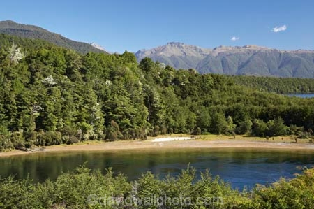 altitude;beautiful;beauty;Beech-Forest;bush;bush-line;bush-lines;bush_line;bush_lines;bushline;bushlines;endemic;fiordland;Fiordland-N.P;fiordland-national-park;Fiordland-NP;forest;forests;green;Kepler-Track;n.z.;national-park;National-parks;native;native-bush;natives;natural;nature;new-zealand;Nothofagus;nz;rain-forest;rain-forests;rain_forest;rain_forests;rainforest;rainforests;river;rivers;S.I.;scene;scenic;SI;snow-line;snow-lines;snow_line;snow_lines;snowline;snowlines;South-Island;South-West-New-Zealand-World-Her;southern-beeches;Southland;te-wahipounamu;te-wahipounamu-south_west-new;tree;tree-line;tree-lines;tree_line;tree_lines;treeline;treelines;trees;Waiau-River;wood;woods;world-heirtage-site;world-heritage-area