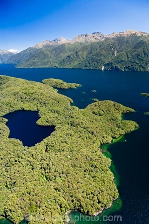 aerial;aerial-photo;aerial-photography;aerial-photos;aerial-view;aerial-views;aerials;air-to-air;alp;alpine;alps;altitude;beautiful;beauty;Beech-Forest;bush;bush-line;bush-lines;bush_line;bush_lines;bushline;bushlines;endemic;Fiordland;Fiordland-N.P;Fiordland-National-Park;Fiordland-NP;forest;forests;green;high-altitude;lake;Lake-Te-Anau;lakes;mount;mountain;mountain-lake;mountain-lakes;mountainous;mountains;mountainside;mt;mt.;N.Z.;national-park;national-parks;native;native-bush;natives;natural;nature;New-Zealand;Nothofagus;NZ;rain-forest;rain-forests;rain_forest;rain_forests;rainforest;rainforests;range;ranges;S.I.;scene;scenic;SI;snow-line;snow-lines;snow_line;snow_lines;snowline;snowlines;South-Fiord;South-Island;south-west-new-zealand-world-heritage-area;southern-beeches;Southland;tarn;tarns;te-wahi-pounamu;te-wahipounamu;te-wahipounamu-south_west-new-zealand-world-heritage-area;timber;tree;tree-line;tree-lines;tree_line;tree_lines;treeline;treelines;trees;water;wood;woods;world-heirtage-site;world-heirtage-sites;world-heritage-area;world-heritage-areas