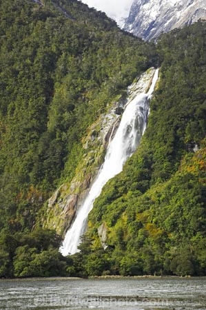 bowen;Bowen-Falls;cascade;cascades;coast;coastal;coastline;creek;creeks;falls;fiord;fiordland;Fiordland-N.P;Fiordland-National-Park;Fiordland-NP;Fiords;Fjord;Fjords;foreshore;island;kb1a5278;milford;milford-sound;N.Z.;national;national-park;National-parks;natural;nature;new;new-zealand;NZ;park;people;person;S.I.;scene;scenic;shore;shoreline;SI;sound;sounds;south;South-Is.;South-Island;south-west;south-west-new-zealand-world-her;Southland;stream;streams;te-wahipounamu;te-wahipounamu-south_west-new;water;water-fall;water-falls;waterfall;waterfalls;wet;World-Heritage-Area;World-Heritage-Site;zealand