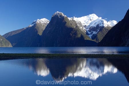 altitude;calm;coast;coastal;coastline;fiordland;Fiordland-N.P;Fiordland-National-Park;Fiordland-NP;foreshore;glacial;high-altitude;island;kb1a5501;kb1a5556;Milford-Sound;mount;mountain;mountain-peak;mountainous;mountains;mountainside;mt;mt.;N.Z.;national-park;National-parks;new;new-zealand;NZ;peak;peaks;placid;Quiet;range;ranges;reflection;reflections;S.I.;serene;shore;shoreline;SI;smooth;snow;snow-capped;snow_capped;snowcapped;snowy;south;South-Is.;South-Island;south-west-new-zealand-world-her;Southland;still;summit;summits;te-wahipounamu;te-wahipounamu-south_west-new;The-Lion;The-Palisades;tranquil;water;World-Heritage-Area;World-Heritage-Site;zealand