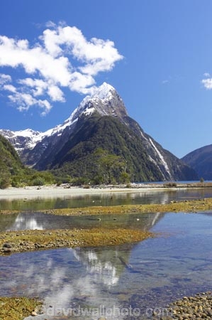 calm;coast;coastal;coastline;fiord;fiordland;Fiordland-N.P;Fiordland-National-Park;Fiordland-NP;Fiords;Fjord;Fjords;island;kb1a5879;milford;milford-sound;mitre;mitre-peak;mountain;mountain-peak;mountains;N.Z.;national;national-park;National-parks;new;new-zealand;NZ;park;peak;peaks;placid;Quiet;reflection;reflections;S.I.;serene;SI;smooth;snow;snow-capped;snow_capped;snowcapped;sound;sounds;south;South-Is.;South-Island;south-west-new-zealand-world-her;Southland;still;summit;summits;te-wahipounamu;te-wahipounamu-south_west-new;tranquil;water;World-Heritage-Area;World-Heritage-Site;zealand