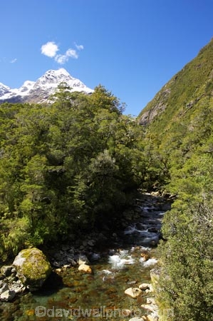 altitude;brook;brooks;clean-water;Cleddau-Canyon;Cleddau-Valley;creek;creeks;fiordland;Fiordland-N.P;Fiordland-National-Park;Fiordland-NP;flow;glacial;Gulliver-River;high-altitude;island;kb1a5904;mount;mountain;mountain-peak;mountainous;mountains;mountainside;mt;mt.;N.Z.;national-park;National-parks;new;new-zealand;NZ;peak;peaks;range;ranges;river;rivers;S.I.;SI;snow;snow-capped;snow_capped;snowcapped;snowy;south;South-Is.;South-Island;south-west-new-zealand-world-her;Southland;stream;streams;summit;summits;te-wahipounamu;te-wahipounamu-south_west-new;The-Twins;water;wet;World-Heritage-Area;World-Heritage-Site;zealand