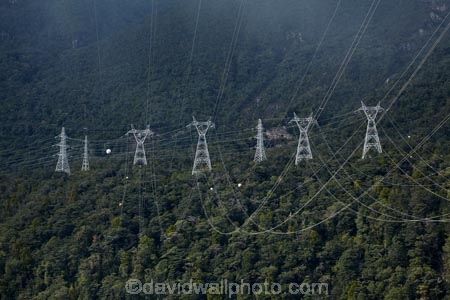 bush;electricity;electricity-distribution;electricity-line;electricity-lines;electricity-pylon;electricity-pylons;electricity-transmission;energy;Fiordland;Fiordland-N.P.;Fiordland-National-Park;Fiordland-NP;forest;forests;high-tension-lines;industrial;Lake-Manapouri;line;lines;Manapouri;Manapouri-Power-Station;N.Z.;national-grid;national-park;national-parks;native-bush;native-forest;native-forests;native-tree;native-trees;native-woods;natural;nature;New-Zealand;NZ;pole;poles;post;posts;power;power-cable;power-cables;power-distribution;power-line;power-lines;power-pole;power-poles;power-pylon;power-pylons;pylon;pylon-line;pylon-lines;pylons;S.I.;SI;South-IS;South-Island;Southland;Sth-Is;Te-Waipounamu;Te-Waipounamu-World-Heritage-Site;tower;towers;transmission-line;transmission-lines;tree;trees;UN-world-heritage-area;UN-world-heritage-site;UNESCO-World-Heritage-area;UNESCO-World-Heritage-Site;united-nations-world-heritage-area;united-nations-world-heritage-site;wire;wires;wood;woods;world-heritage;world-heritage-area;world-heritage-areas;World-Heritage-Park;World-Heritage-site;World-Heritage-Sites