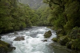 brook;brooks;creek;creeks;fiordland;Fiordland-N.P;fiordland-national-park;flow;milford-road;n.z.;national-park;National-parks;new-zealand;nz;rapid;rapids;river;rivers;S.I.;SI;South-Island;South-West-New-Zealand-World-Her;Southland;stream;streams;te-wahipounamu;te-wahipounamu-south_west-new;The-Chasm;water;wet;white-water;Whitewater;world-heirtage-site;world-heritage-area