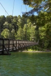 beautiful;beauty;Beech-Forest;bridge;bridges;bush;endemic;fiordland;Fiordland-N.P;fiordland-national-park;Fiordland-NP;foot-bridge;foot-bridges;footbridge;footbridges;forest;forests;great-walks;green;high;hiking;hiking-track;hiking-tracks;Kepler-Track;n.z.;national-park;National-parks;native;native-bush;natives;natural;nature;new-zealand;Nothofagus;nz;pedestrian-bridge;pedestrian-bridges;rain-forest;rain-forests;rain_forest;rain_forests;rainforest;rainforests;river;rivers;S.I.;scene;scenic;SI;South-Island;South-West-New-Zealand-World-Her;southern-beeches;Southland;suspension-bridge;suspension-bridges;swing-bridge;swing-bridges;te-wahipounamu;te-wahipounamu-south_west-new;track;tracks;tramping;tramping-track;tree;trees;trek;treking;trekking;Waiau-River;walking;walking-track;walking-tracks;wire-bridge;wire-bridges;wood;woods;world-heirtage-site;world-heritage-area