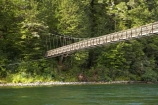 beautiful;beauty;Beech-Forest;bridge;bridges;bush;endemic;fiordland;Fiordland-N.P;fiordland-national-park;Fiordland-NP;foot-bridge;foot-bridges;footbridge;footbridges;forest;forests;great-walks;green;high;hiking;hiking-track;hiking-tracks;Kepler-Track;n.z.;national-park;National-parks;native;native-bush;natives;natural;nature;new-zealand;Nothofagus;nz;pedestrian-bridge;pedestrian-bridges;rain-forest;rain-forests;rain_forest;rain_forests;rainforest;rainforests;river;rivers;S.I.;scene;scenic;SI;South-Island;South-West-New-Zealand-World-Her;southern-beeches;Southland;suspension-bridge;suspension-bridges;swing-bridge;swing-bridges;te-wahipounamu;te-wahipounamu-south_west-new;track;tracks;tramping;tramping-track;tree;trees;trek;treking;trekking;Waiau-River;walking;walking-track;walking-tracks;wire-bridge;wire-bridges;wood;woods;world-heirtage-site;world-heritage-area