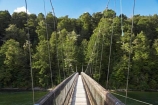 beautiful;beauty;Beech-Forest;bridge;bridges;bush;endemic;fiordland;Fiordland-N.P;fiordland-national-park;Fiordland-NP;foot-bridge;foot-bridges;footbridge;footbridges;forest;forests;great-walks;green;high;hiking;hiking-track;hiking-tracks;Kepler-Track;n.z.;national-park;National-parks;native;native-bush;natives;natural;nature;new-zealand;Nothofagus;nz;pedestrian-bridge;pedestrian-bridges;rain-forest;rain-forests;rain_forest;rain_forests;rainforest;rainforests;river;rivers;S.I.;scene;scenic;SI;South-Island;South-West-New-Zealand-World-Her;southern-beeches;Southland;suspension-bridge;suspension-bridges;swing-bridge;swing-bridges;te-wahipounamu;te-wahipounamu-south_west-new;track;tracks;tramping;tramping-track;tree;trees;trek;treking;trekking;Waiau-River;walking;walking-track;walking-tracks;wire-bridge;wire-bridges;wood;woods;world-heirtage-site;world-heritage-area