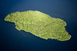 aerial;aerial-photo;aerial-photography;aerial-photos;aerial-view;aerial-views;aerials;air-to-air;beautiful;beauty;Beech-Forest;bush;coast;coastal;coastline;coastlines;coasts;Doubtful-Sound;endemic;Fergusson-Island;Fiord;Fiordland;Fiordland-N.P;Fiordland-National-Park;Fiordland-NP;Fiords;Fjord;Fjords;forest;forests;green;N.Z.;national-park;national-parks;native;native-bush;natives;natural;nature;New-Zealand;Nothofagus;NZ;ocean;rain-forest;rain-forests;rain_forest;rain_forests;rainforest;rainforests;S.I.;scene;scenic;sea;shore;shoreline;shorelines;shores;SI;Sound;Sounds;South-Island;south-west-new-zealand-world-heritage-area;southern-beeches;Southland;te-wahi-pounamu;te-wahipounamu;te-wahipounamu-south_west-new-zealand-world-heritage-area;timber;tree;trees;wood;woods;world-heirtage-site;world-heirtage-sites;world-heritage-area;world-heritage-areas