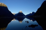 Fiordland inc Milford Sound