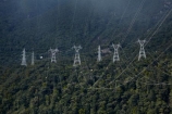 bush;electricity;electricity-distribution;electricity-line;electricity-lines;electricity-pylon;electricity-pylons;electricity-transmission;energy;Fiordland;Fiordland-N.P.;Fiordland-National-Park;Fiordland-NP;forest;forests;high-tension-lines;industrial;Lake-Manapouri;line;lines;Manapouri;Manapouri-Power-Station;N.Z.;national-grid;national-park;national-parks;native-bush;native-forest;native-forests;native-tree;native-trees;native-woods;natural;nature;New-Zealand;NZ;pole;poles;post;posts;power;power-cable;power-cables;power-distribution;power-line;power-lines;power-pole;power-poles;power-pylon;power-pylons;pylon;pylon-line;pylon-lines;pylons;S.I.;SI;South-IS;South-Island;Southland;Sth-Is;Te-Waipounamu;Te-Waipounamu-World-Heritage-Site;tower;towers;transmission-line;transmission-lines;tree;trees;UN-world-heritage-area;UN-world-heritage-site;UNESCO-World-Heritage-area;UNESCO-World-Heritage-Site;united-nations-world-heritage-area;united-nations-world-heritage-site;wire;wires;wood;woods;world-heritage;world-heritage-area;world-heritage-areas;World-Heritage-Park;World-Heritage-site;World-Heritage-Sites