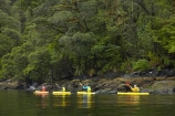 adventure;adventure-tourism;boat;boats;canoe;canoeing;canoes;Doubtful-Sound;fiord;Fiordland;Fiordland-N.P.;Fiordland-National-Park;Fiordland-NP;fiords;fjord;fjords;kayak;kayaker;kayakers;kayaking;kayaks;N.Z.;national-park;national-parks;New-Zealand;NZ;paddle;paddler;paddlers;paddling;Patea;people;person;S.I.;sea-kayak;sea-kayaker;sea-kayakers;sea-kayaking;sea-kayaks;SI;South-IS;South-Island;Southland;Sth-Is;Te-Waipounamu;Te-Waipounamu-World-Heritage-Site;tourism;tourist;tourists;UN-world-heritage-area;UN-world-heritage-site;UNESCO-World-Heritage-area;UNESCO-World-Heritage-Site;united-nations-world-heritage-area;united-nations-world-heritage-site;vacation;vacations;water;world-heritage;world-heritage-area;world-heritage-areas;World-Heritage-Park;World-Heritage-site;World-Heritage-Sites
