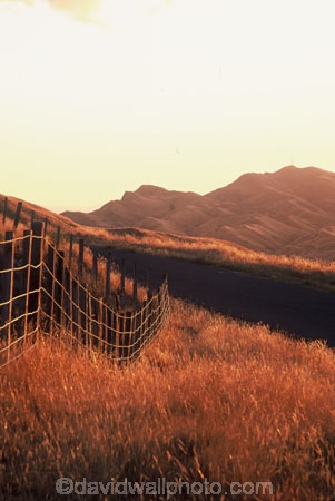 fence;fenceline;grass;rural;agriculture;countryside;pastoral;field;fields;meadow;meadows;wire;wires