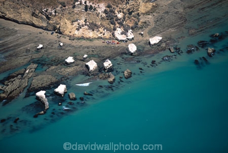 aerials;white-cliffs;cliff;mudstone;sandstone;sand_stone;sand-stone;bluff;bluffs;coast;coastal;coasatline;shore;shoreline;point;promontory;hawke-bay;pacific-ocean;tourist;tourists;tourism