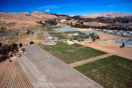 vine;vines;vineyard;vineyards;wine;wines;winery;wineries;grape;grapes;vintage;grapevine;horticulture;cultivation;rural;farm;farms;farming;field;fields;crop;crops;row;rows;aerials