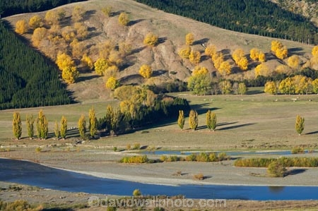 agricultural;agriculture;autuminal;autumn;autumn-colour;autumn-colours;autumnal;color;colors;colour;colours;country;countryside;deciduous;fall;farm;farming;farmland;farms;field;fields;Hawkes-Bay;hill;hills;N.I.;N.Z.;New-Zealand;NI;North-Island;NZ;poplar;poplar-tree;poplar-trees;poplars;rural;season;seasonal;seasons;Te-Mata-Peak;tree;trees;Tukituki-River;Tukituki-Valley;willow;willow-tree;willow-trees;willows