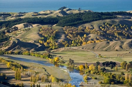 agricultural;agriculture;autuminal;autumn;autumn-colour;autumn-colours;autumnal;color;colors;colour;colours;country;countryside;deciduous;fall;farm;farming;farmland;farms;field;fields;Hawke-Bay;Hawkes-Bay;hill;hills;N.I.;N.Z.;New-Zealand;NI;North-Island;NZ;poplar;poplar-tree;poplar-trees;poplars;rural;season;seasonal;seasons;Te-Mata-Peak;tree;trees;Tukituki-River;Tukituki-Valley;willow;willow-tree;willow-trees;willows