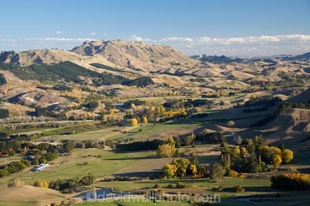 agricultural;agriculture;autuminal;autumn;autumn-colour;autumn-colours;autumnal;color;colors;colour;colours;country;countryside;deciduous;fall;farm;farming;farmland;farms;field;fields;Hawkes-Bay;hill;hills;meadow;meadows;N.I.;N.Z.;New-Zealand;NI;North-Island;NZ;paddock;paddocks;pasture;pastures;rural;season;seasonal;seasons;Te-Mata-Peak;tree;trees;Tukituki-Valley