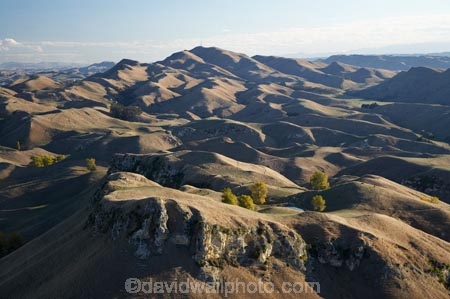 agricultural;agriculture;bluff;bluffs;cliff;cliffs;country;countryside;farm;farming;farmland;farms;field;fields;Hawkes-Bay;hill;hills;Kohinurakau-Range;meadow;meadows;Mount-Erin;mountainside;mountainsides;Mt-Erin;Mt.-Erin;N.I.;N.Z.;New-Zealand;NI;North-Island;NZ;paddock;paddocks;pasture;pastures;rural;steep;Te-Mata-Peak