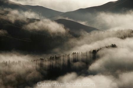 break-of-day;dawn;dawning;daybreak;first-light;fog;foggy;fogs;Hawkes-Bay;mist;mists;misty;monochromatic;monochrome;morning;N.I.;N.Z.;New-Zealand;NI;North-Island;NZ;Te-Mata-Peak;view;views;weather