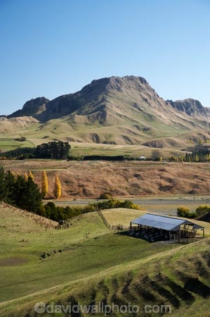agricultural;agriculture;autuminal;autumn;autumn-colour;autumn-colours;autumnal;color;colors;colour;colours;country;countryside;deciduous;fall;farm;Farm-Building;Farm-Buildings;Farm-Shed;Farm-Sheds;farming;farmland;farms;field;fields;Hawkes-Bay;meadow;meadows;N.I.;N.Z.;New-Zealand;NI;North-Island;NZ;paddock;paddocks;pasture;pastures;rural;season;seasonal;seasons;Sheep-Shed;Sheep-Sheds;Te-Mata-Peak;tree;trees;Tukituki-Valley