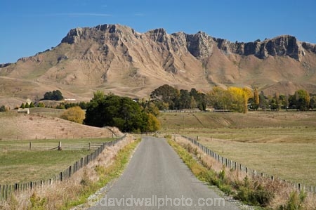 agricultural;agriculture;autuminal;autumn;autumn-colour;autumn-colours;autumnal;color;colors;colour;colours;country;countryside;deciduous;driving;fall;farm;farming;farmland;farms;field;fields;Hawkes-Bay;meadow;meadows;N.I.;N.Z.;New-Zealand;NI;North-Island;NZ;paddock;paddocks;pasture;pastures;road;roads;rural;season;seasonal;seasons;straight;Te-Mata-Peak;transport;transportation;traveling;travelling;tree;trees;Tukituki-Valley