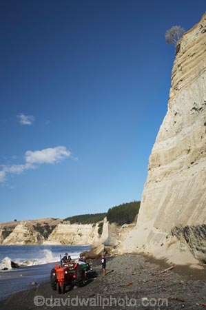 activity;bluff;bluffs;cliff;cliffs;Clifton;coast;coastal;coastline;coastlines;coasts;Gannet-Beach-Adventures;Hawke-Bay;Hawkes-Bay;holiday;holidaying;holidays;low-tide;low_tide;mountainside;mountainsides;N.I.;N.Z.;New-Zealand;NI;North-Island;NZ;ocean;oceans;Pacific-Ocean;sea;shore;shoreline;shorelines;shores;steep;tide;tides;tourism;tourist;tourists;tractor;tractors;trailer;trailers;travel;traveler;traveling;traveller;travelling;vacation;vacationers;vacationing;vacations;vintage-tractor;vintage-tractors;water