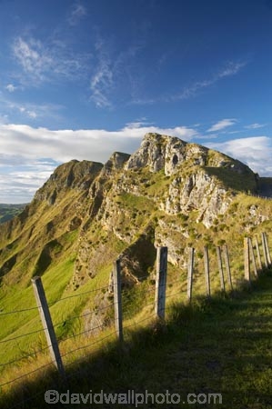 agricultural;agriculture;country;countryside;farm;farming;farmland;farms;fence;fence-line;fence-lines;fence_line;fence_lines;fenceline;fencelines;fences;field;fields;Hawkes-Bay;Hawkes-Bay;meadow;meadows;N.I.;N.Z.;New-Zealand;NI;North-Is;North-Is.;North-Island;NZ;paddock;paddocks;pasture;pastures;rural;Te-Mata-Peak;Te-Mata-Pk