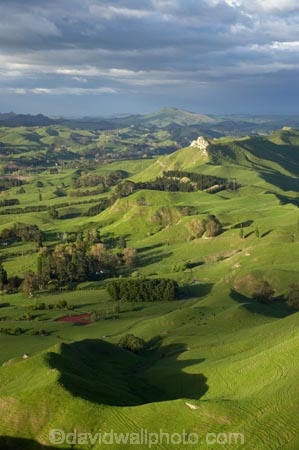 agricultural;agriculture;country;countryside;farm;farming;farmland;farms;field;fields;grass;green;Hawkes-Bay;Hawkes-Bay;Kohinurakau-Ra;Kohinurakau-Range;lush;meadow;meadows;N.I.;N.Z.;New-Zealand;NI;North-Is;North-Is.;North-Island;NZ;paddock;paddocks;pasture;pastures;rural;season;seasonal;seasons;spring;springtime;Tukituki-River-Valley;verdant