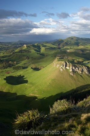 agricultural;agriculture;country;countryside;farm;farming;farmland;farms;field;fields;grass;green;Hawkes-Bay;Hawkes-Bay;Kohinurakau-Ra;Kohinurakau-Range;lush;meadow;meadows;Mount-Erin;Mt-Erin;Mt.-Erin;N.I.;N.Z.;New-Zealand;NI;North-Is;North-Is.;North-Island;NZ;paddock;paddocks;pasture;pastures;rural;season;seasonal;seasons;spring;springtime;Tukituki-River-Valley;verdant
