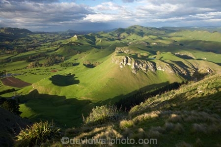 agricultural;agriculture;country;countryside;farm;farming;farmland;farms;field;fields;grass;green;Hawkes-Bay;Hawkes-Bay;Kohinurakau-Ra;Kohinurakau-Range;lush;meadow;meadows;Mount-Erin;Mt-Erin;Mt.-Erin;N.I.;N.Z.;New-Zealand;NI;North-Is;North-Is.;North-Island;NZ;paddock;paddocks;pasture;pastures;rural;season;seasonal;seasons;spring;springtime;Tukituki-River-Valley;verdant