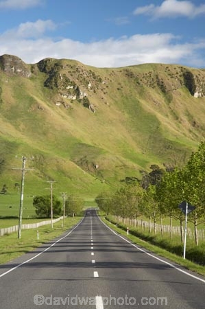 agricultural;agriculture;centre-line;centre-lines;centre_line;centre_lines;centreline;centrelines;country;countryside;driving;farm;farming;farmland;farms;field;fields;Hawkes-Bay;Hawkes-Bay;highway;highways;meadow;meadows;N.I.;N.Z.;New-Zealand;NI;North-Is;North-Is.;North-Island;NZ;open-road;open-roads;paddock;paddocks;pasture;pastures;road;road-trip;roads;rural;season;seasonal;seasons;spring;springtime;straight;Te-Mata-Peak;Te-Mata-Pk;transport;transportation;travel;traveling;travelling;trip;Tukituki-River-Valley;Waimarama-Rd;Waimarama-Road