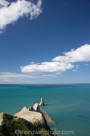 Australasian-Gannet;Australasian-Gannet-Colony;Australasian-Gannets;bird;bird-watching;bird_watching;birds;birdwatching;Cape-Kidnappers;Cape-Kidnappers-Gannet-Colony;coastal;colony;eco-tourism;eco_tourism;ecotourism;gannet;Gannet-Colonies;Gannet-Colony;gannets;Hawke-Bay;Hawkes-Bay;Hawkes-Bay;marine;Morus-serrator;N.I.;N.Z.;native;natural-history;nature;new-zealand;NI;North-Is;North-Is.;North-Island;NZ;ocean;ornithology;Pacific-Ocean;sea;Takapu;wildlife