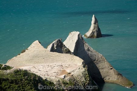 Australasian-Gannet;Australasian-Gannet-Colony;Australasian-Gannets;bird;bird-watching;bird_watching;birds;birdwatching;Cape-Kidnappers;Cape-Kidnappers-Gannet-Colony;coastal;colony;eco-tourism;eco_tourism;ecotourism;gannet;Gannet-Colonies;Gannet-Colony;gannets;Hawke-Bay;Hawkes-Bay;Hawkes-Bay;marine;Morus-serrator;N.I.;N.Z.;native;natural-history;nature;new-zealand;NI;North-Is;North-Is.;North-Island;NZ;ocean;ornithology;Pacific-Ocean;sea;Takapu;wildlife