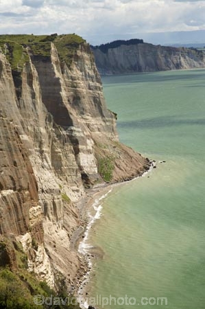 bluff;bluffs;Cape-Kidnappers;cliff;cliffs;coasatline;coast;coastal;Hawke-Bay;Hawkes-Bay;Hawkes-Bay;mudstone;N.I.;N.Z.;New-Zealand;NI;North-Is;North-Is.;North-Island;NZ;pacific-ocean;sand-stone;sand_stone;sandstone;shore;shoreline;white-cliffs