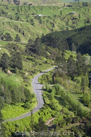 agricultural;agriculture;bend;bends;corner;corners;country;countryside;curve;curves;driving;farm;farming;farmland;farms;field;fields;Hawkes-Bay;Hawkes-Bay;highway;highways;meadow;meadows;N.I.;N.Z.;Napier-_-Gisborne-Road;New-Zealand;NI;North-Is;North-Is.;North-Island;NZ;open-road;open-roads;paddock;paddocks;pasture;pastures;road;road-trip;roads;rural;season;seasonal;seasons;spring;springtime;state-highway-2;state-highway-two;straight;transport;transportation;travel;traveling;travelling;tree;trees;trip