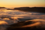 agricultural;agriculture;break-of-day;cloud;clouds;cloudy;country;countryside;dawn;dawning;daybreak;farm;farming;farmland;farms;field;fields;first-light;fog;foggy;fogs;Hawkes-Bay;meadow;meadows;mist;mists;misty;morning;N.I.;N.Z.;New-Zealand;NI;North-Island;NZ;orange;paddock;paddocks;pasture;pastures;rural;sunrise;sunrises;sunup;Te-Mata-Peak;view;views
