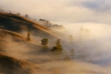 agricultural;agriculture;break-of-day;country;countryside;dawn;dawning;daybreak;farm;farming;farmland;farms;field;fields;first-light;fog;foggy;fogs;Hawkes-Bay;meadow;meadows;mist;mists;misty;morning;N.I.;N.Z.;New-Zealand;NI;North-Island;NZ;paddock;paddocks;pasture;pastures;rural;sunrise;sunrises;sunup;Te-Mata-Peak;view;views