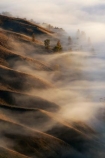 break-of-day;dawn;dawning;daybreak;first-light;fog;foggy;fogs;Hawkes-Bay;mist;mists;misty;morning;N.I.;N.Z.;New-Zealand;NI;North-Island;NZ;pattern;ridge;ridgeline;ridgelines;ridges;Te-Mata-Peak;view;views
