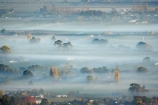autuminal;autumn;autumn-colour;autumn-colours;autumnal;break-of-day;color;colors;colour;colours;dawn;dawning;daybreak;deciduous;early-morning;fall;first-light;fog;foggy;fogs;Havelock-North;Hawkes-Bay;mist;mists;misty;morning;N.I.;N.Z.;New-Zealand;NI;North-Island;NZ;season;seasonal;seasons;Te-Mata-Peak;tree;trees;view;views