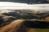 agricultural;agriculture;break-of-day;country;countryside;dawn;dawning;daybreak;farm;farming;farmland;farms;field;fields;first-light;fog;foggy;fogs;Hawkes-Bay;meadow;meadows;mist;mists;misty;morning;N.I.;N.Z.;New-Zealand;NI;North-Island;NZ;paddock;paddocks;pasture;pastures;rural;Te-Mata-Peak;view;views