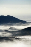 break-of-day;dawn;dawning;daybreak;first-light;fog;foggy;fogs;Hawkes-Bay;mist;mists;misty;monochromatic;monochrome;morning;N.I.;N.Z.;New-Zealand;NI;North-Island;NZ;Te-Mata-Peak;view;views;weather
