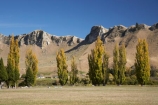 agricultural;agriculture;autuminal;autumn;autumn-colour;autumn-colours;autumnal;color;colors;colour;colours;country;countryside;deciduous;fall;farm;farming;farmland;farms;field;fields;Hawkes-Bay;meadow;meadows;N.I.;N.Z.;New-Zealand;NI;North-Island;NZ;paddock;paddocks;pasture;pastures;poplar;poplar-tree;poplar-trees;poplars;rural;season;seasonal;seasons;Te-Mata-Peak;tree;trees;Tukituki-Valley