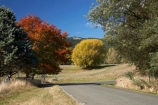 agricultural;agriculture;autuminal;autumn;autumn-colour;autumn-colours;autumnal;color;colors;colour;colours;country;countryside;deciduous;fall;farm;farming;farmland;farms;field;fields;Hawkes-Bay;meadow;meadows;N.I.;N.Z.;New-Zealand;NI;North-Island;NZ;paddock;paddocks;pasture;pastures;red;rural;season;seasonal;seasons;tree;trees;Tukituki-Road;Tukituki-Valley;yellow