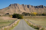 agricultural;agriculture;autuminal;autumn;autumn-colour;autumn-colours;autumnal;color;colors;colour;colours;country;countryside;deciduous;driving;fall;farm;farming;farmland;farms;field;fields;Hawkes-Bay;meadow;meadows;N.I.;N.Z.;New-Zealand;NI;North-Island;NZ;paddock;paddocks;pasture;pastures;road;roads;rural;season;seasonal;seasons;straight;Te-Mata-Peak;transport;transportation;traveling;travelling;tree;trees;Tukituki-Valley