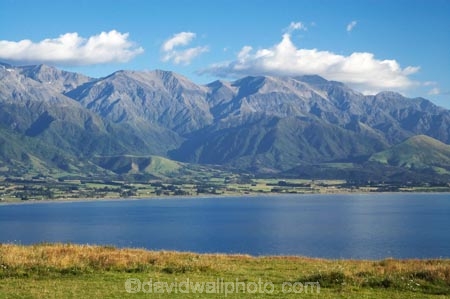 coast;coastal;coastline;coastlines;coasts;country;countryside;field;fields;Kaikoura;Kaikoura-Coast;Marlborough;meadow;meadows;N.Z.;New-Zealand;NZ;ocean;oceans;Pacific-Ocean;paddock;paddocks;pasture;pastures;rural;S.I.;sea;Seaward-Kaikoura-Range;Seaward-Kaikoura-Ranges;shore;shoreline;shorelines;shores;SI;South-Island;water